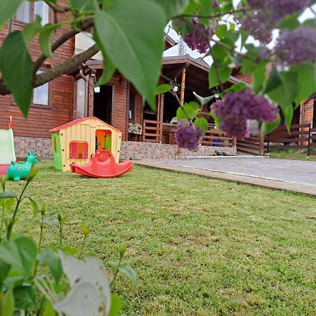 Cabana Baile Figa Beclean  Exteriér fotografie