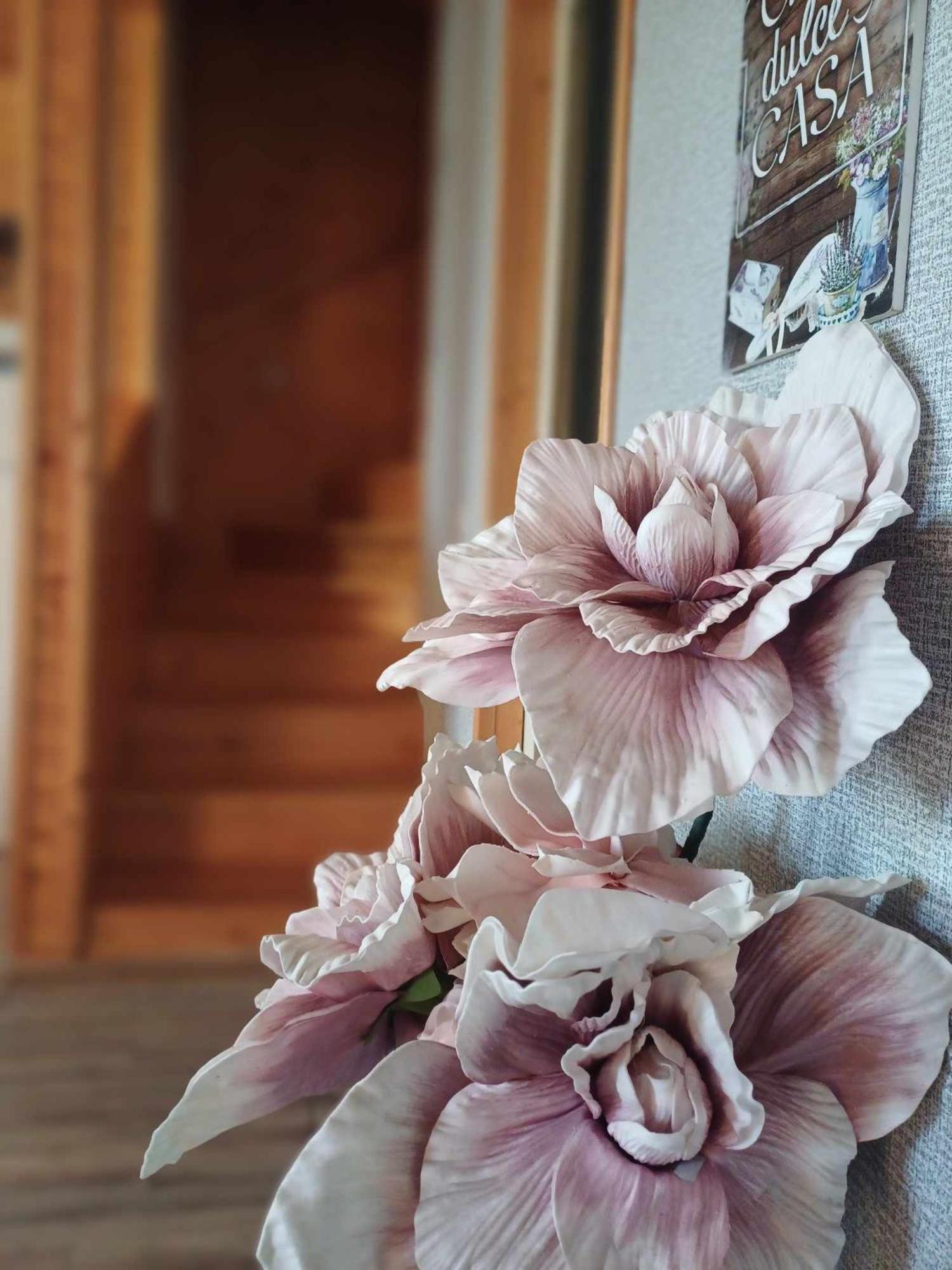 Cabana Baile Figa Beclean  Exteriér fotografie